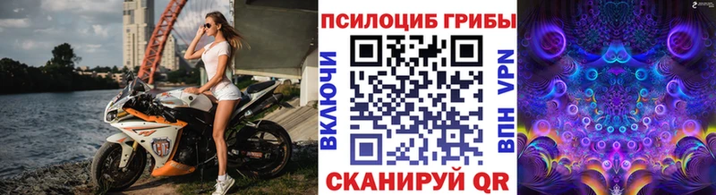 цена наркотик  Назрань  Псилоцибиновые грибы Cubensis 